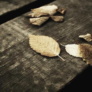 国产V亚洲V天堂宗合
